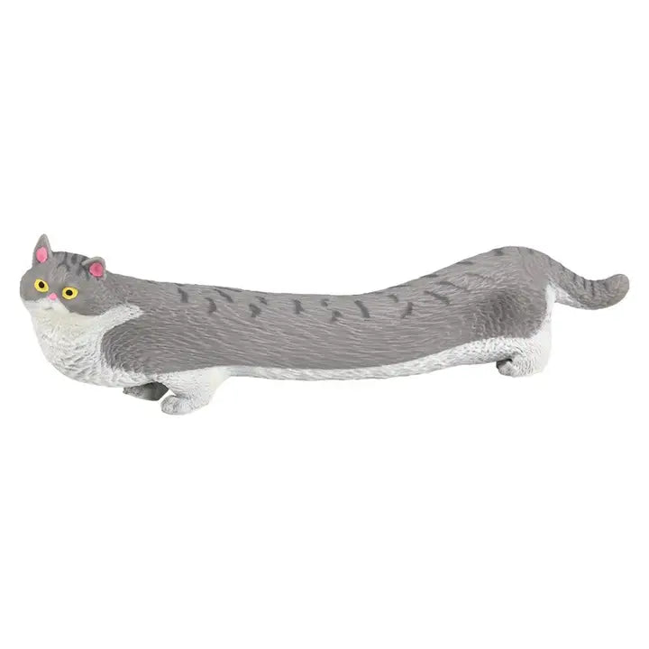 Stretchy House Cat