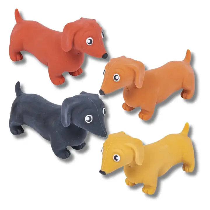 Stretch Dachshund