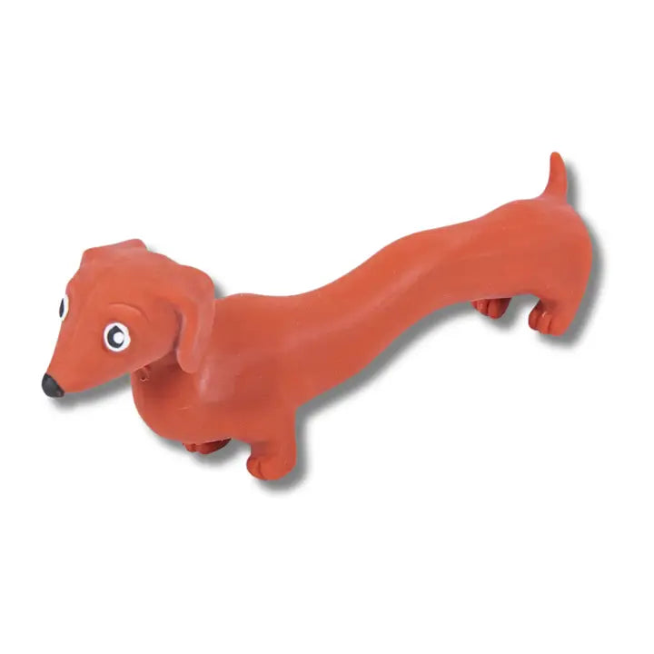 Stretch Dachshund